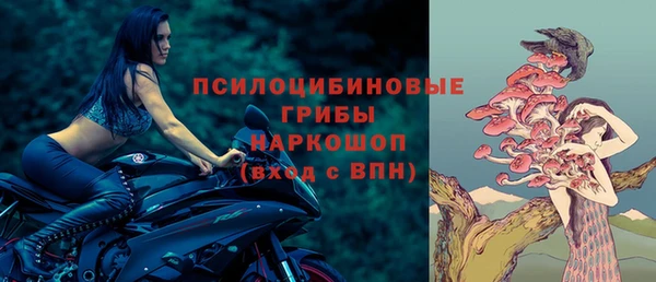 спайс Горняк