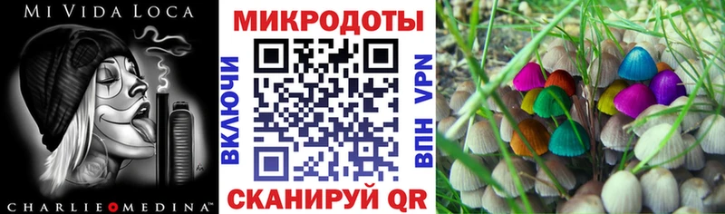сколько стоит  Рузаевка  Псилоцибиновые грибы ЛСД 
